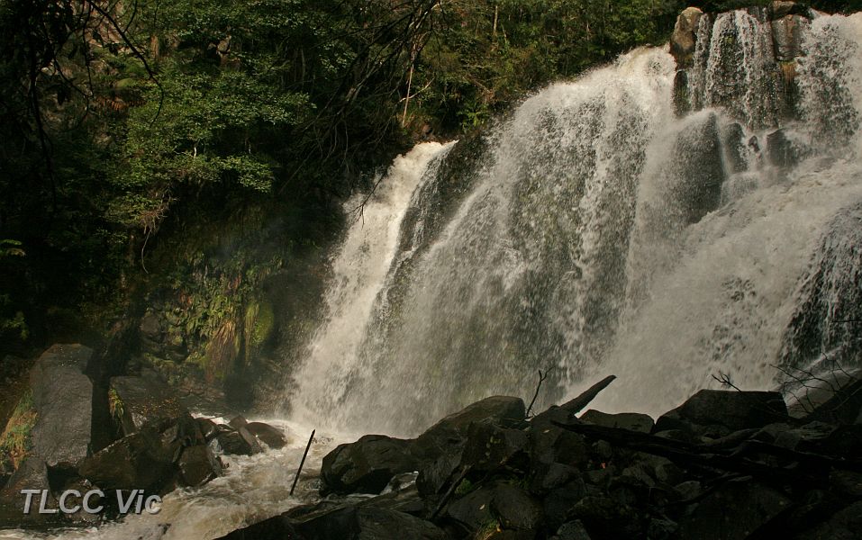 15-Snobs Creek Falls.JPG